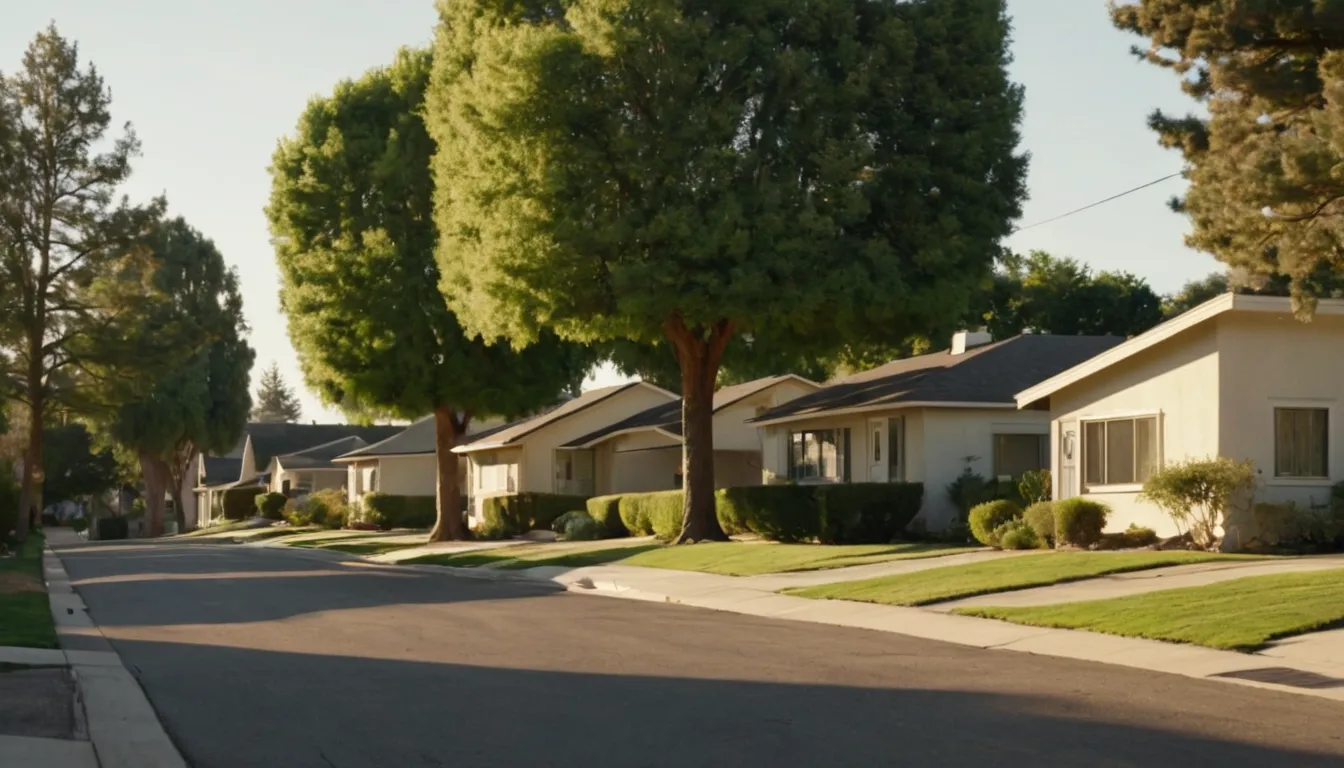 Mature trees lining a residential street in the Oceanside area