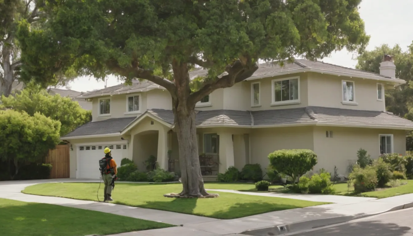 Local provider inspecting a mature tree beside a stucco ranch home in Oceanside with a homeowner